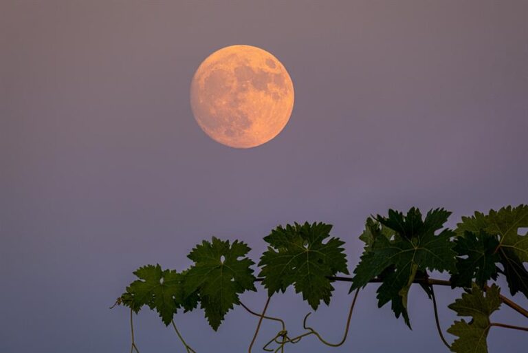 Superluna de Ciervo deja espectaculares postales en el mundo