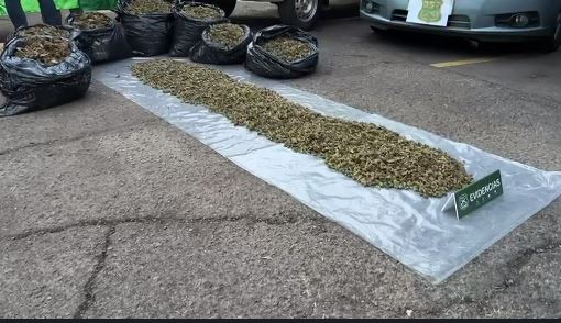 Desarticulan organización criminal que era liderada desde cárceles: Enviaban ganancias a Colombia