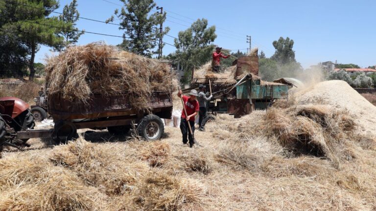 Agricultores ucranianos expresan su preocupación por la implementación del acuerdo de exportación de granos
