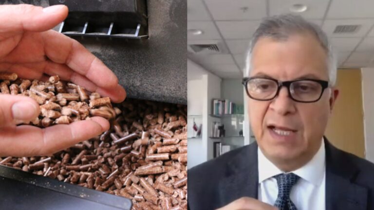 Escasez de pellet en la zona sur del país: Ministro de Energía apela a concretar una ley de biocombustibles sólidos