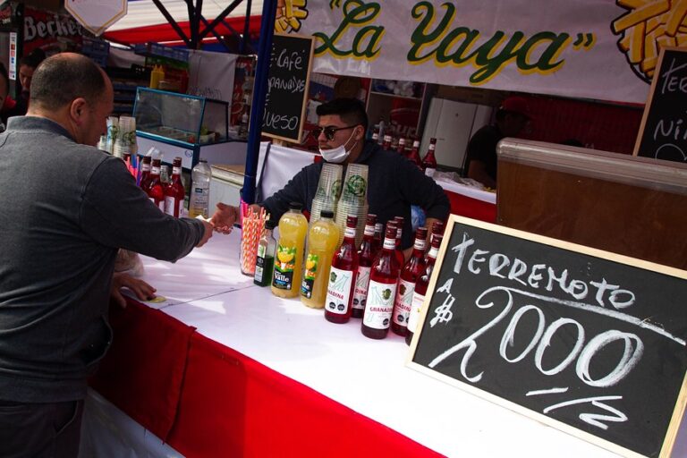 Fonderos del Parque O'Higgins denuncian irregularidades en las bases de arriendo