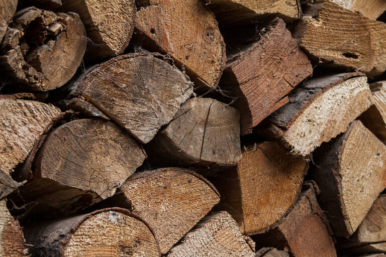 Será ley: Despachan proyecto para aumentar las penas por robo de madera