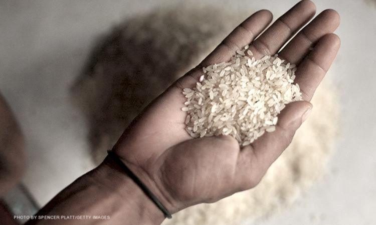 Gobierno asegura que producción local de arroz buscará aplacar alza mundial de precio del alimento