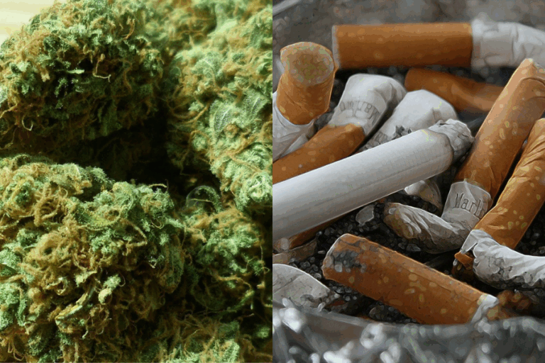 ¿Fumar marihuana es más popular que consumir tabaco?
