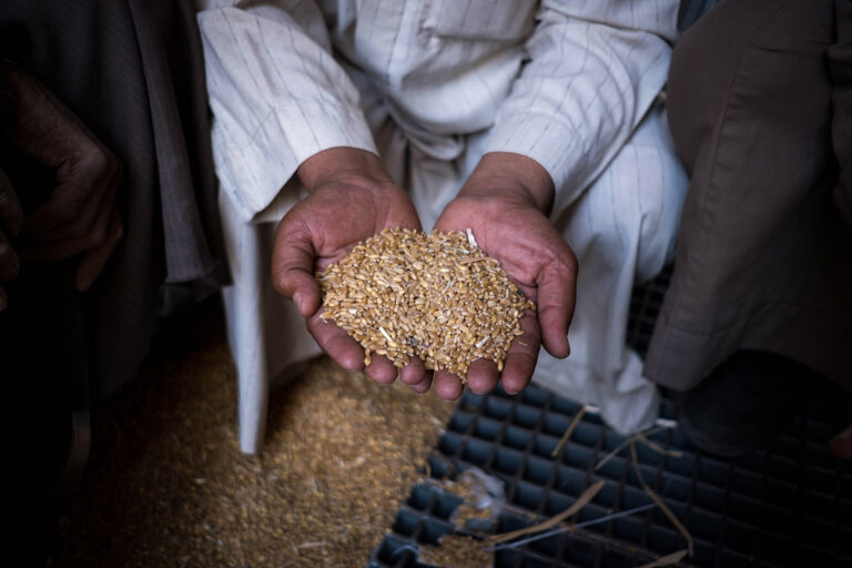 Guerra en Ucrania: Mercados de alimentos comienzan a estabilizarse tras acuerdo ante la ONU