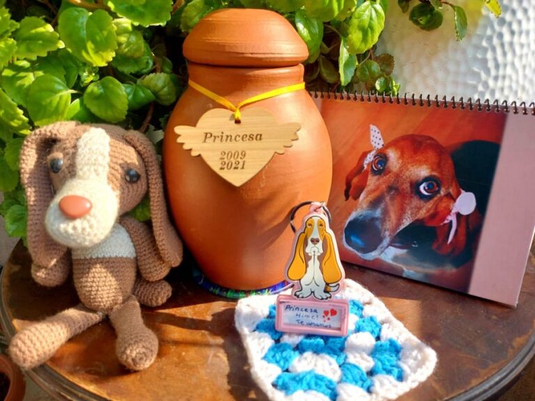 Cuando muere una mascota: La importancia de vivir un duelo libre de prejuicios