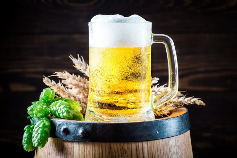 Día Internacional de la Cerveza: ¿Cómo saber cuáles son aptas para personas veganas?