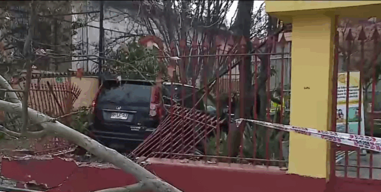 Conductor en estado de ebriedad impactó contra un colegio en Ñuñoa: Derribó árboles, rejas y un muro