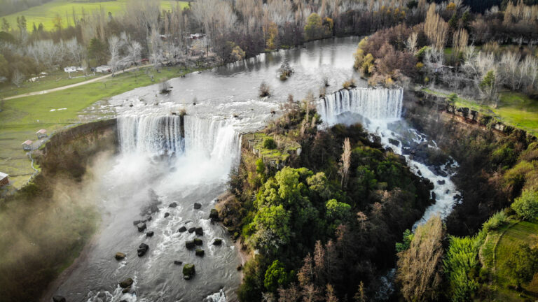 Tras 11 años en la Cámara, Comisión de Agricultura aprueba importante proyecto para la protección de la naturaleza