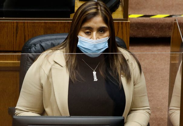 Senadora Campillai interpondrá querella por amenazas y hostigamiento en redes sociales