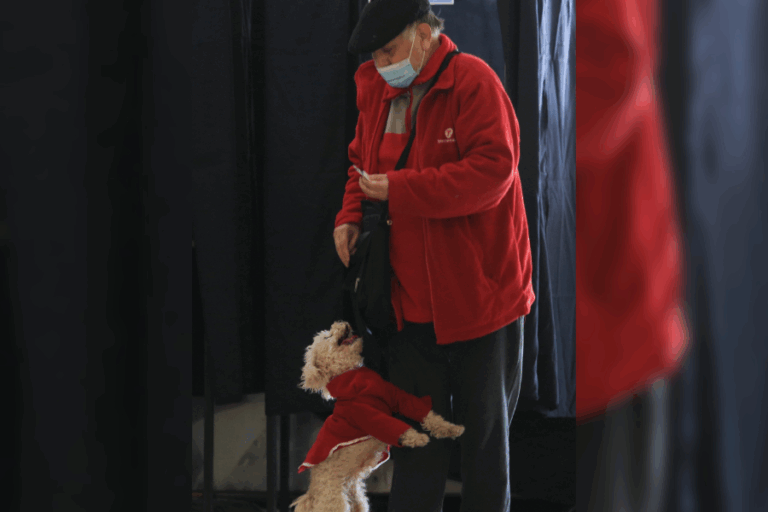 Plebiscito de salida: Guía definitiva con todo lo que tienes que saber antes de votar este domingo