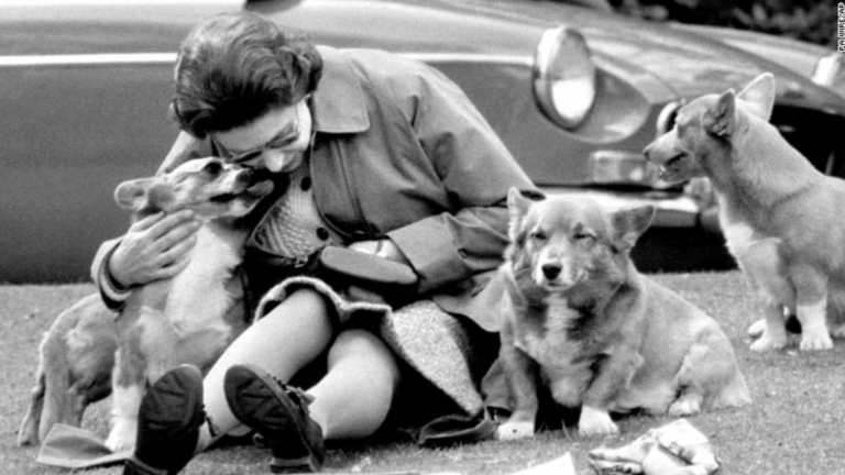 La historia del linaje de corgis que acompañaron a la reina Isabel II