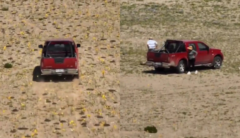 Hombre que atravesó el desierto florido en camioneta es vicepresidente de la Asociación Minera de Copiapó: 