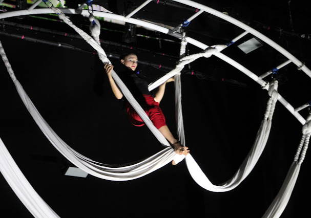 El Día del Circo Chileno continúa: Revisa algunas actividades en distintas regiones del país