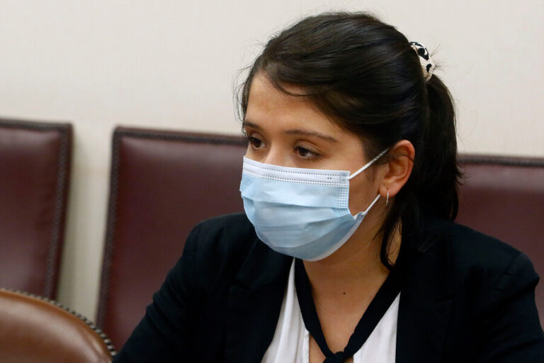 Diputada Veloso acusó a la oposición de trabajar con 