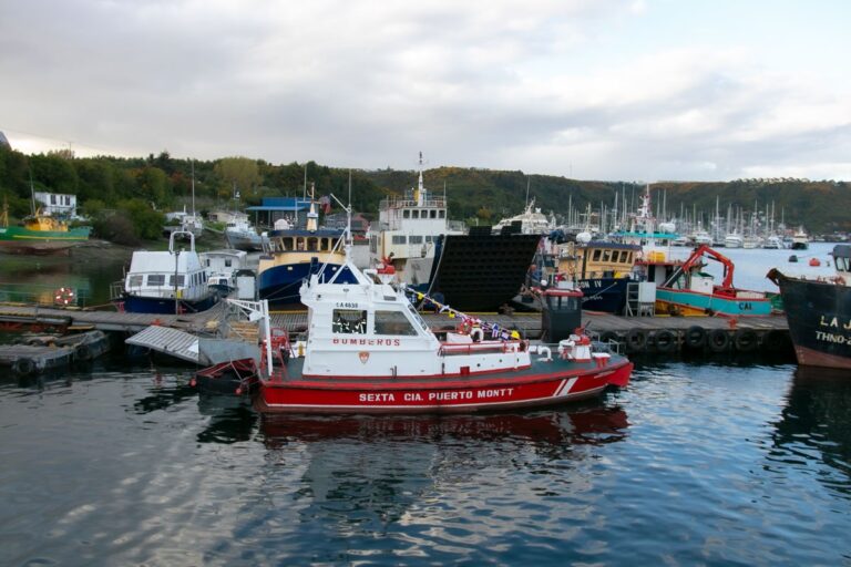 Bomberos de Puerto Montt reciben la primera lancha creada para combatir incendios en el mar