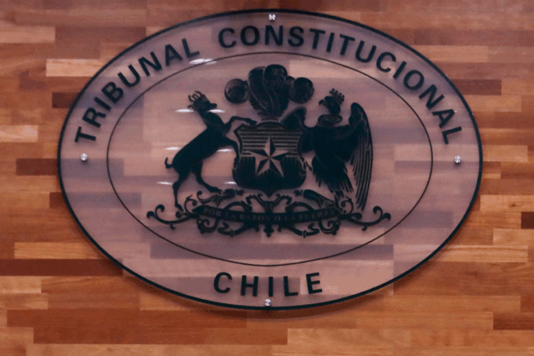 TC no admitió a trámite el requerimiento para evaluar constitucionalidad del TPP11 por extemporáneo