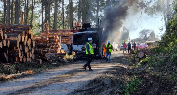 Fiscalía pide levantar el secreto bancario de forestales investigadas por fraude al fisco