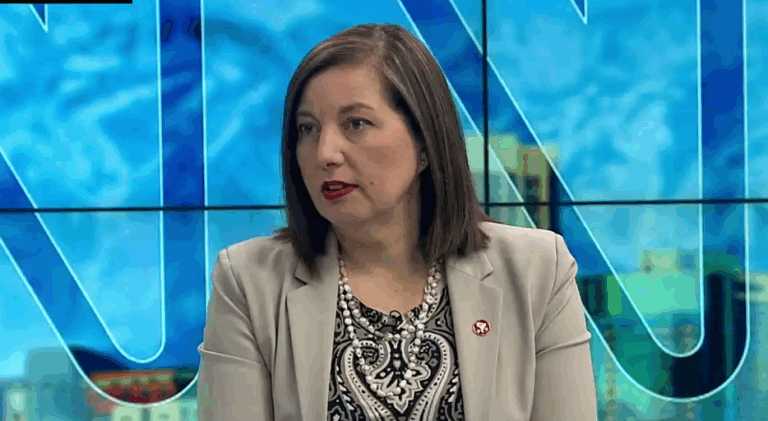 Vodanovic y conversaciones para avanzar hacia un proceso constituyente: 