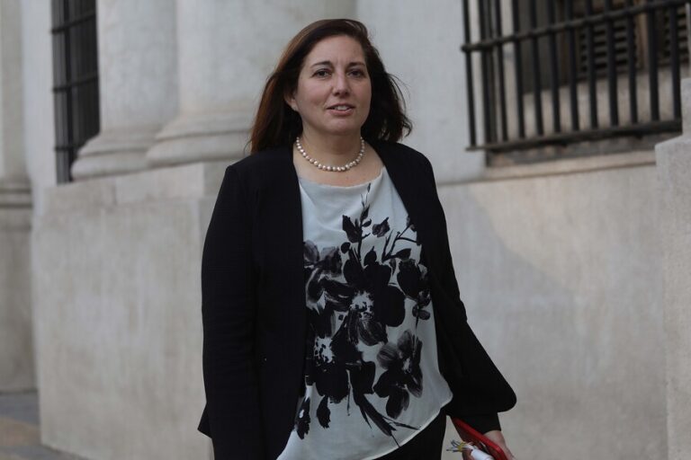 Vodanovic acusó que parlamentarios republicanos y del PDG buscan 