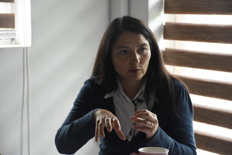 Gobierno aceptó renuncia de la Delegada Presidencial Provincial de Chiloé, Mariela Núñez