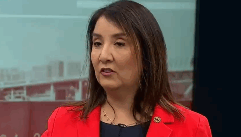 Nayalet Mansilla, candidata a fiscal nacional: 