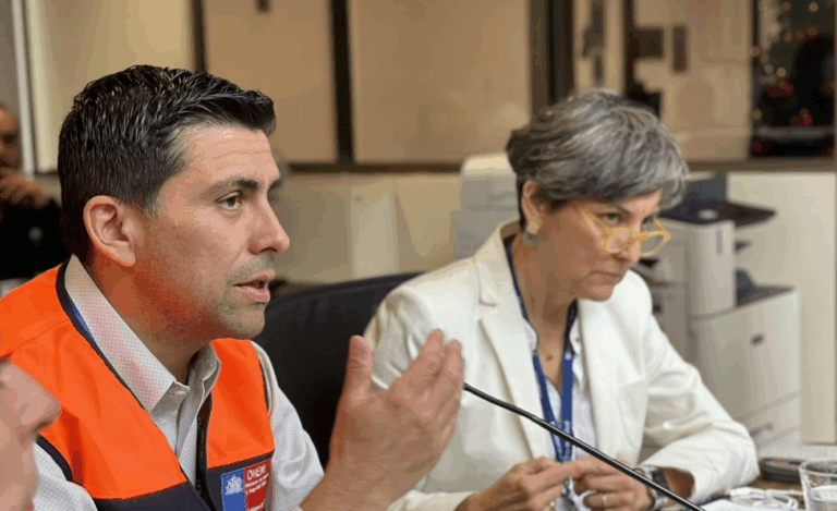 Onemi entregó balance por incendios forestales: Se reportan nueve alertas rojas a nivel país