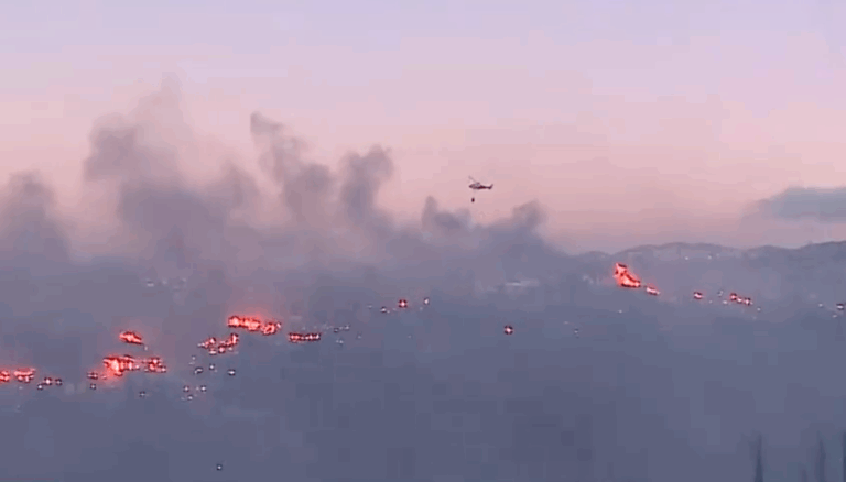 Viña del Mar: Onemi decretó alerta roja y solicitó evacuación por incendio forestal