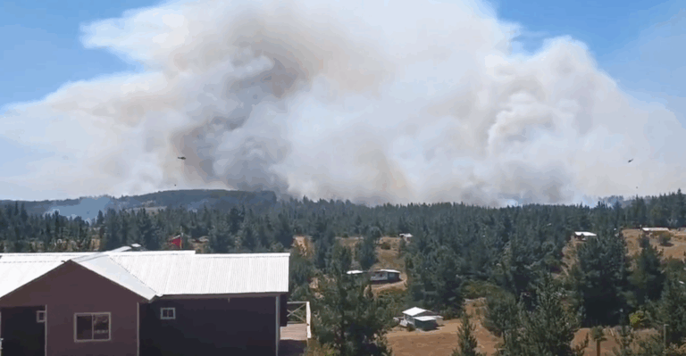 Por incendio forestal: Onemi solicitó evacuar sectores de tres comunas e la Región del Biobío