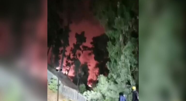 Viña del Mar: Así se resguarda la Quinta Vergara ante la amenaza de incendio