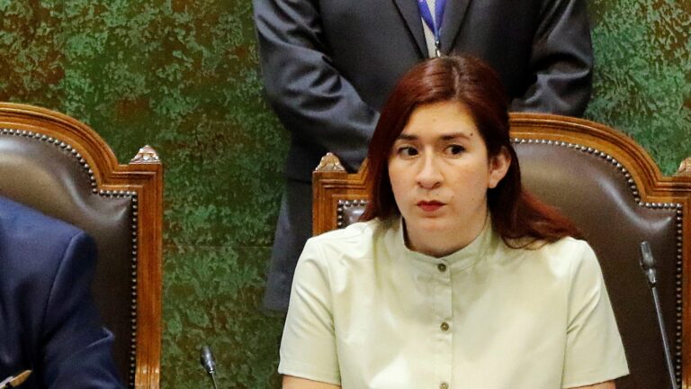 Pérez y debate constitucional: 