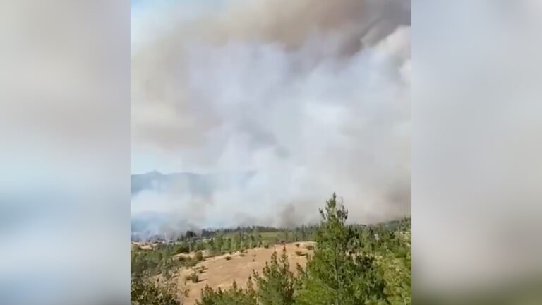 Incendio forestal en Portezuelo deja 3 viviendas siniestradas y más de 100 hectáreas consumidas