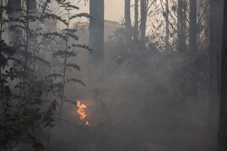 Incendios forestales: Solicitan evacuar área urbana de Ningue y otros cinco sectores