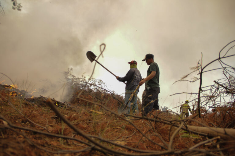 Incendio forestal afecta a Colina: Siniestro ha consumido 150 hectáreas