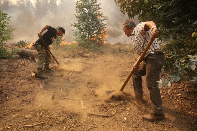 Bancos de desarrollo para Latinoamérica comprometen aportes monetarios para ayudar a Chile con el combate de incendios