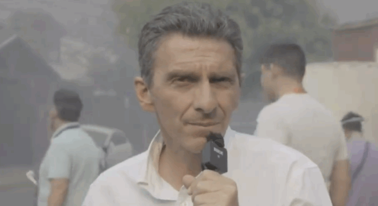 Alcalde de Chillán confirmó 10 casas consumidas por incendio forestal: 