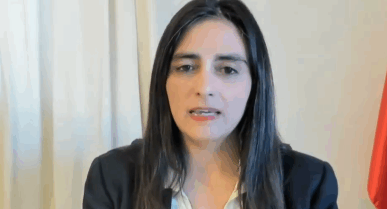 Ministra (s) Sanhueza entregó detalles del plan de recuperación y ayudas para damnificados por incendios forestales