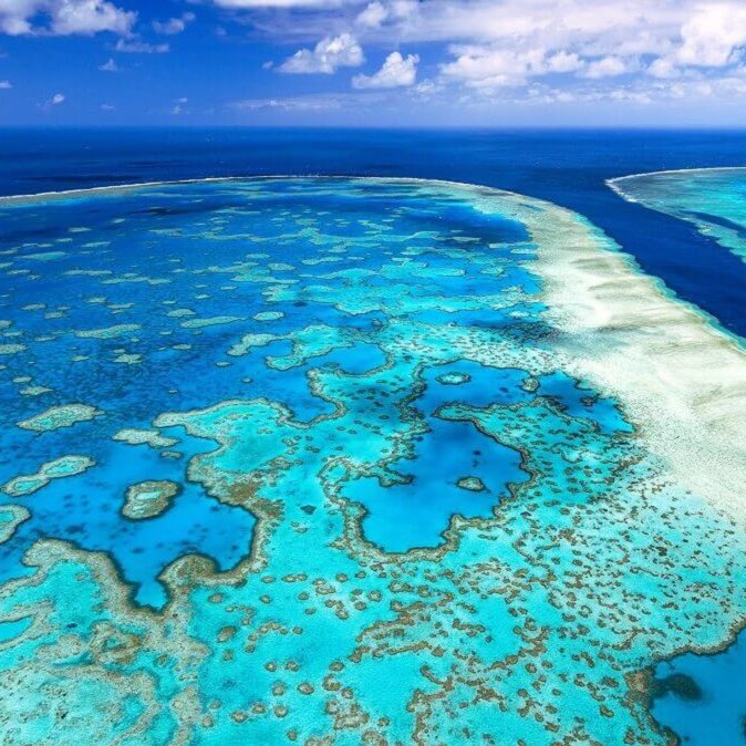 ¡Histórico! Australia rechaza megaproyecto de mina de carbón para proteger la Gran Barrera de Coral