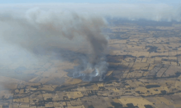 Delegada de Malleco informó más de 11 viviendas consumidas por incendios en Victoria