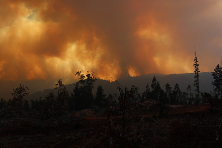 Imputado por incendio forestal en Arauco quedó con arraigo nacional y firma quincenal
