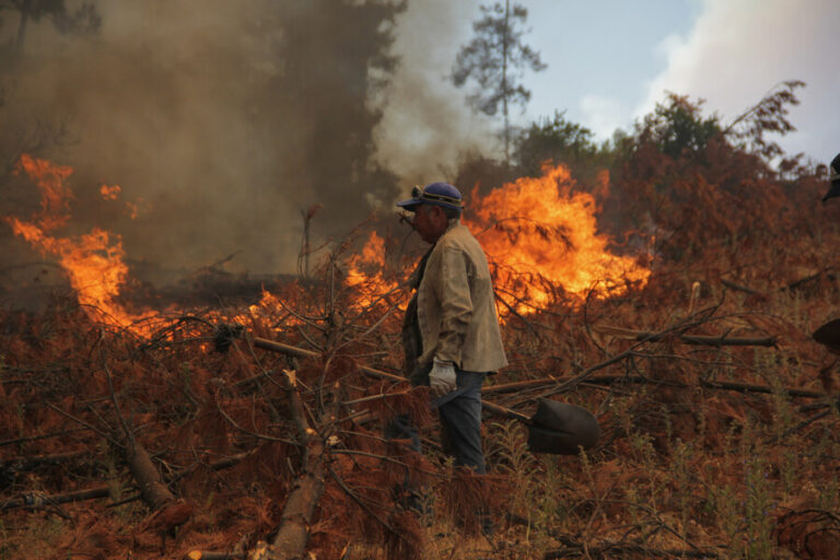 Balance de Senapred de este jueves: 95 incendios en combate y más de 1.200 viviendas quemadas