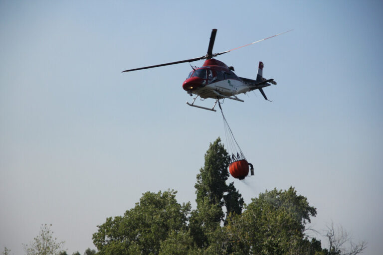 Sujeto que realizó quema de pastizales en pleno estado de catástrofe quedó con firma quincenal