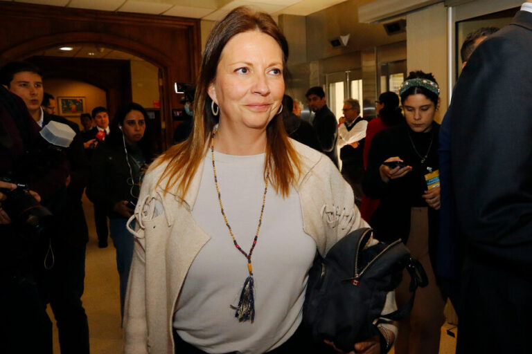 Piergentili confirmó candidatura al Consejo Constitucional y aseguró que decisión del PS 