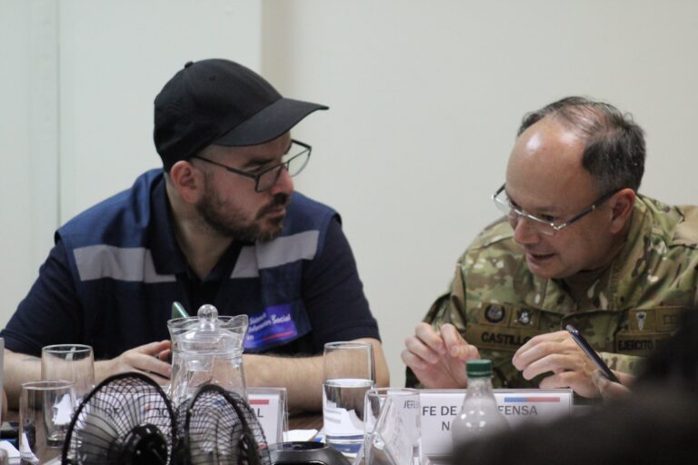 Jedena de La Araucanía descarta toque de queda por incendios: 