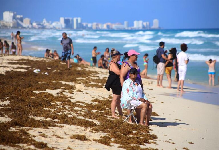 Una gran masa de algas se dirige a las costas de Estados Unidos y el Caribe
