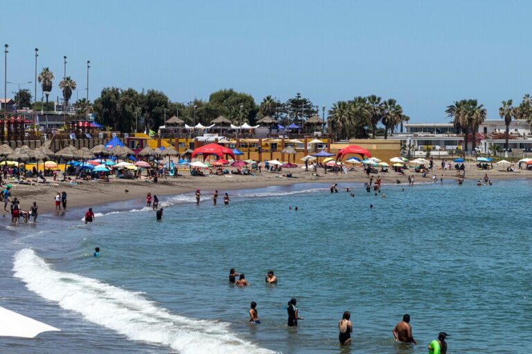 Cupo Mujer: Cómo funcionan los viajes con subsidio estatal exclusivos para mujeres