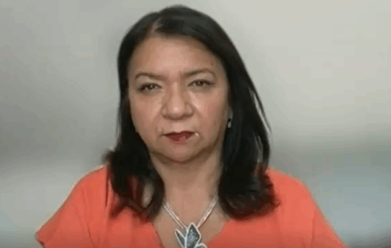 Alcaldesa de La Pintana por seguridad: 