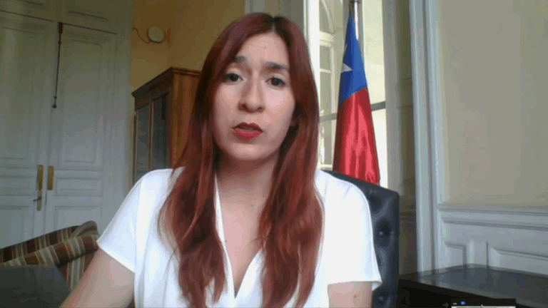 Diputada Catalina Pérez sobre Ley Nain-Retamal: 