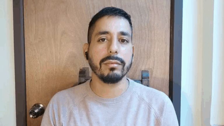 Diputado Jorge Brito: 