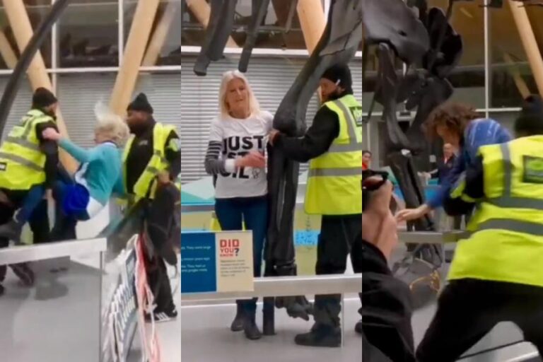 Activistas de Just Stop Oil fueron detenidos por intentar protestar en la exhibición del dinosaurio Dippy the Diplodocus